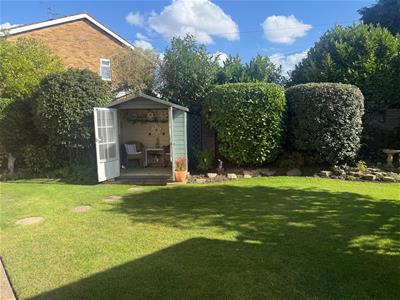 Picture 21